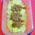 uzu1118's cooksnap of when they made 白菜とツナの簡単鍋.