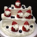 るるやま's cooksnap of when they made 雛壇じゃなくてサンタ壇クリスマスケーキ.