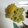 ホットケーキ４８'s cooksnap of when they made 甘露煮で作る簡単栗きんとん.