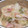 hirotchy's cooksnap of when they made 白菜と手羽先のワイン煮.