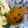 なひゆ's cooksnap of when they made すくな南瓜deハロウィンキャラ弁.
