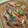 ariatowa's cooksnap of when they made 骨まで食べよう！アジの南蛮漬け.