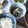 きらり流れ星's cooksnap of when they made イワシのおろし汁.