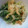 かぴーな's cooksnap of when they made 水菜と油揚げのさっと煮.