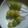 のえきょう's cooksnap of when they made ぎんなん炒り塩.