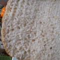 ｸﾛﾈｺﾉｷｷ's cooksnap of when they made HBで早焼き★私のライ麦食パン.