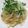 ☆shizu's cooksnap of when they made 簡単♪明太子パスタ.