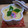 mippo_co's cooksnap of when they made 基本の本格おもてなし茶碗蒸し.