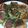 ranchu77's cooksnap of when they made うまっ！フライパンで焼き肉まんHB♪.