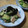 しのばぁたん's cooksnap of when they made 焼き豚ときゅうりのタラコ和え☆.