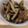 あゆたっくん's cooksnap of when they made ごぼうと昆布と椎茸の梅煮.