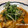 まみお✳'s cooksnap of when they made 鰯の蒲焼き.