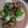 くむちん's cooksnap of when they made ●オクラと梅のねばねば冷ややっこ　豆腐●.