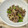 栗丸うさぎ's cooksnap of when they made 牛薄切りのしょうが風味炒め.