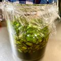 ☆はあ☆'s cooksnap of when they made 韮・ニラ・にら醤（韮の保存調味料））.