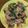 クックHDP0M2☆'s cooksnap of when they made 誰でも簡単豚キムチニラ炒め♪.