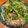 さすらい's cooksnap of when they made 簡単！豚こまもやし豆苗と卵の中華炒め.