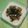 神風＊'s cooksnap of when they made オクラめかぶ納豆とろろそば.