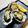 いなばっくす☆'s cooksnap of when they made 殻つき牡蠣をレンジdeポン！.