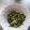 かぴーな's cooksnap of when they made ピーマンのすりごまあえ.