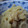 ちゃいまむ's cooksnap of when they made 簡単！蓮根のきんぴら。.