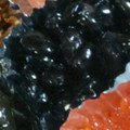 めかにか's cooksnap of when they made 失敗なし！艶々ふっくら仕上がる黒豆★.