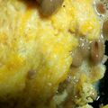 あさりbakery's cooksnap of when they made 激簡単！納豆オムレツ（卵焼き）.