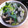 zukachi's cooksnap of when they made 寒い冬に☆牡蠣のみぞれ鍋.