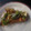 スタイリッシュママ's cooksnap of when they made 焼き鯖とトマトのトースト.
