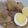 さざえ2007's cooksnap of when they made 豚のさっぱり煮♪.