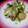 しぃぃくん's cooksnap of when they made ✼蛸と帆立のねぎ焼き和風マリネ✼.