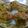 nekohiroi's cooksnap of when they made 玉蜀黍たくさん！おからケークサレ.