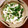 キャビィーママ's cooksnap of when they made エリンギと小松菜のナムル.