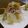 gongonsanagon's cooksnap of when they made ねぎメンマで贅沢冷奴.