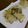 gongonsanagon's cooksnap of when they made 子かぶの塩昆布づけ.