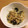 ともちなつ's cooksnap of when they made ★もやしとﾜｶﾒのｺﾞﾏぽん酢和え★.