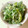 えいぱる's cooksnap of when they made 春菊のごまマヨ和え.