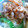 oBsession's cooksnap of when they made しょうが焼き丼.･ﾟ♡.