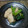yu__ko's cooksnap of when they made 簡単！ほうれん草と鶏の中華炒め.