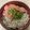 クック81NK9U☆'s cooksnap of when they made 超簡単★ネギトロ&しらす丼.