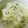 もさな's cooksnap of when they made 七草粥風☆根菜の葉お粥.
