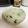 こけぴよー's cooksnap of when they made ダシをきかせた七草粥.