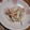 ぬぴこちゃん's cooksnap of when they made 大根とキュウリの胡麻マヨサラダ.