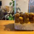 samakosama's cooksnap of when they made 黄金比☆梅シロップの作り方.