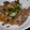 さっちん２７１７'s cooksnap of when they made 牛薄切り肉の和風おろしだれがけ.