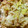 ＊ココナッツ＊'s cooksnap of when they made [簡単]湯引き白菜とツナのサラダ.