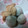 おみえだす's cooksnap of when they made こいもと厚揚げの煮物.