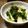 あとからあとから's cooksnap of when they made りんご入りきゅうりとわかめの酢の物.