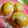 青空レモン's cooksnap of when they made 炊飯器で茹で卵.