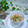 yuikouta's cooksnap of when they made 中華風あんかけ茶碗蒸し.